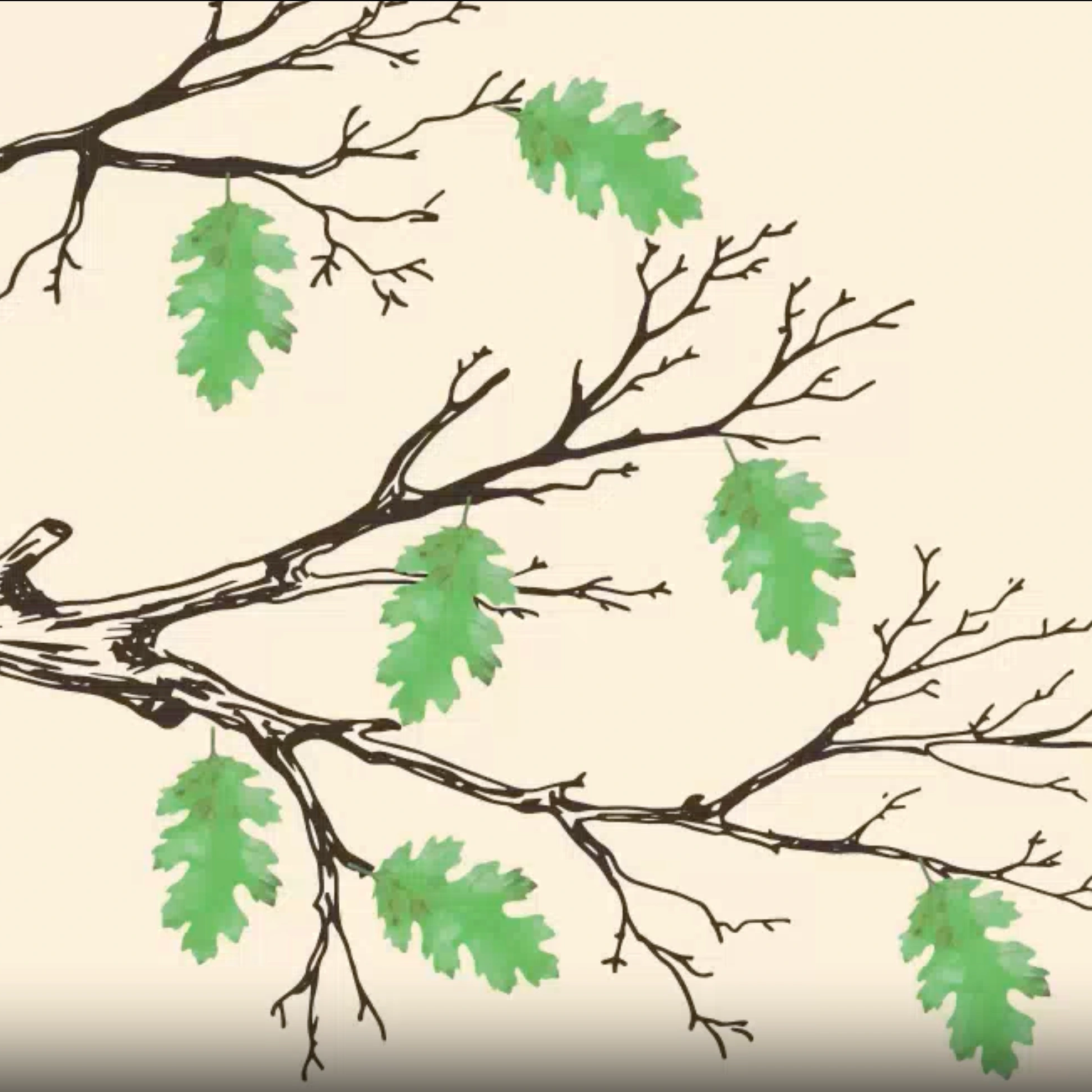 Screenshot of the hire me video